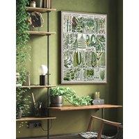 The Botanist Botanical Framed Art