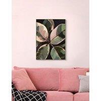 Ficus Square Framed Art