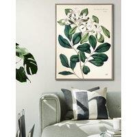 Foliage and Blooms Botanical Framed Art