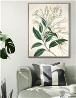 Flourishing Foliage Rectangle Framed Art