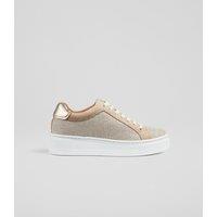Canvas Lace Up Platform Trainers