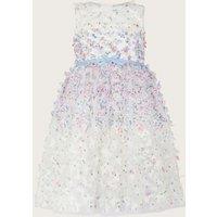 Butterfly Tulle Occasion Dress (3-15 Yrs)
