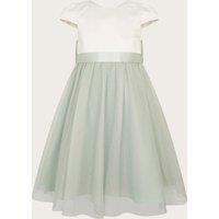 Tulle Dress (3-13 Yrs)