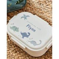Personalised Grey Dinosaur Lunchbox
