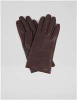 Leather Gloves