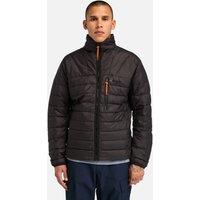 Bear Head Lightweight Padded Puffer Jacket