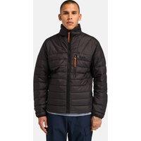 Bear Head Lightweight Padded Puffer Jacket