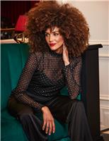 Sheer Sparkly High Neck Top