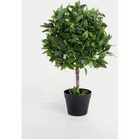 2.5ft Artificial Bay Laurel Bush Ball in Pot