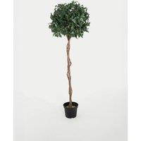 6ft Artificial Bay Laurel Tree in Pot