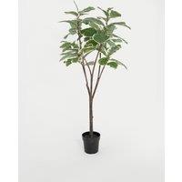 5.5ft Artificial Ficus Elastica Rubber Tree in Pot