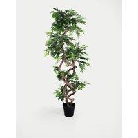 5.5ft Artificial Fruticosa Tree in Pot