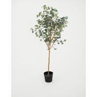 5.5ft Artificial Silver Dollar Eucalyptus Tree