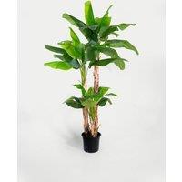 8ft Artificial Musa Basjoo Tree in Pot