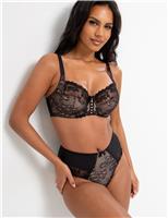 Sofia Lace Embroidered Full Briefs