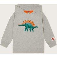 Cotton Rich Dinosaur Hoodie (2-13 Yrs)