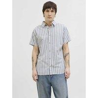 Pure Cotton Striped Oxford Shirt