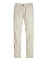 Regular Fit Cotton Rich Chinos