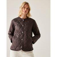 Harletta Collarless Padded Puffer Jacket