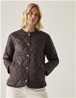 Regatta Harletta Collarless Padded Puffer Jacket Brown