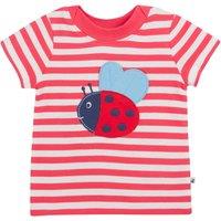 Pure Cotton Striped Ladybird T-Shirt (0-5 Yrs)