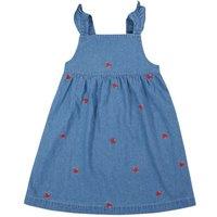 Denim Embroidered Dress (0-8 Yrs)