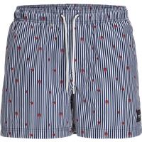 Stripe Lobster Print Swim Shorts