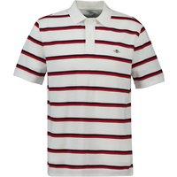 Pure Cotton Striped Polo Shirt