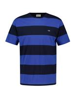 GANT Pure Cotton Striped T-Shirt Blue Mix