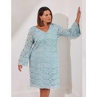 Cotton Rich Lace V-Neck Tea Dress