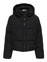 Short Padded Hooded Jacket (8-14 Yrs)