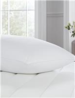 Luxury Pocket Sprung Pure Cotton Pillow