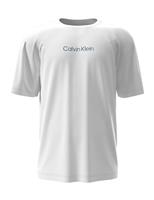 Calvin Klein Pure Cotton Logo T-Shirt White
