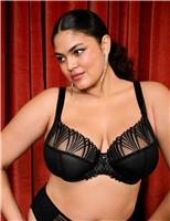 Reja Wired Plunge Bra (DD-K)