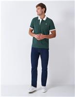 Pure Cotton Tipped Striped Polo Shirt