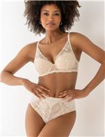 Atelier High Apex Lightly Padded Bra (B-F)