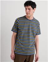 Pure Cotton Striped T-Shirt