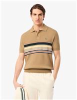 Pure Cotton Striped Knitted Polo Shirt