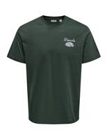 Pure Cotton Back Graphic Crew Neck T-Shirt