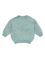 Cotton Blend Dinosaur Sweatshirt (3 Mths-5 Yrs)