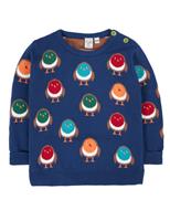 Pure Cotton Robin Knitted Jumper (0-12 Yrs)