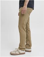 Regular Fit Cotton Rich 5 Pocket Jeans