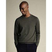 Charles Tyrwhitt Pure Merino Wool Crew Neck Jumper Khaki