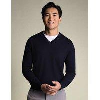 Charles Tyrwhitt Pure Wool V-Neck Jumper Navy