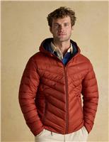 Padded Quilted Hooded Puffer Jacket