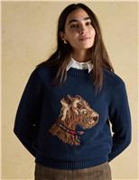Cotton Rich Dog Jumper with Wool