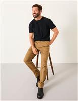 Regular Fit Chinos
