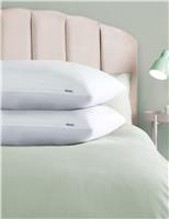 2pk Anti-Allergy Memory Foam Shell Pillows