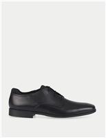 Kids Leather School Shoes (2 Large - 5 Large)