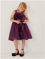 Velvet Bow Tulle Dress